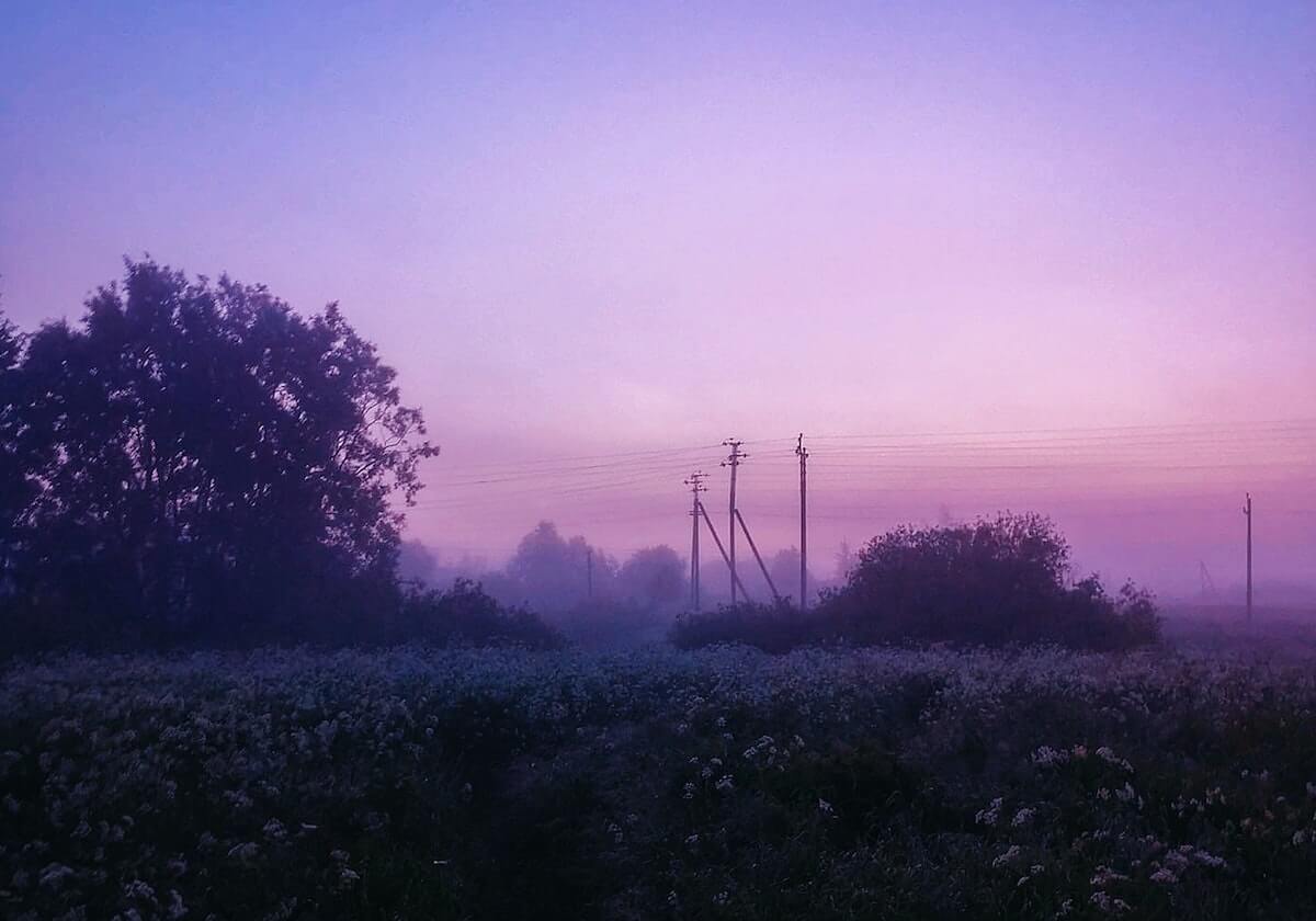 意甲媒体热议：米兰前锋莱奥本赛季缺席多场比赛，不过其进球数已与上赛季持平